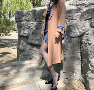 傻王夺嫡