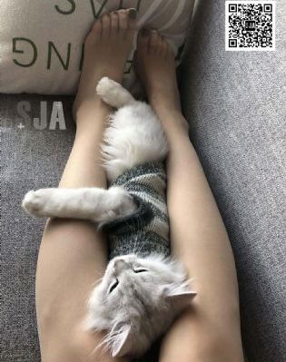 电影朋友的妻子