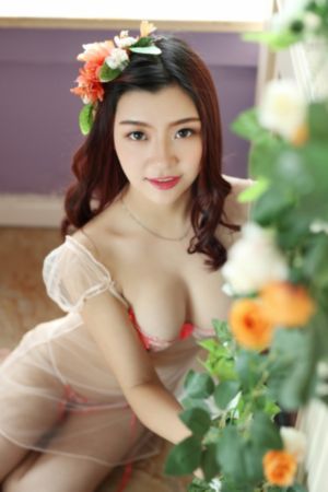 无颜之月1～5集第一季
